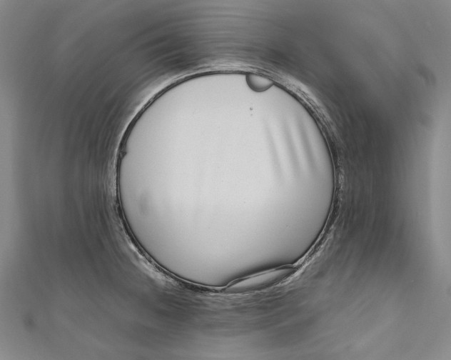 X0000111191236200907221102