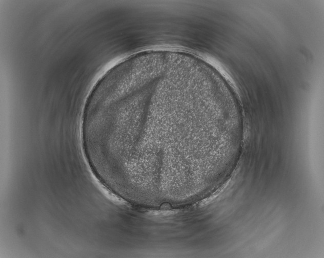 X0000111191237200907221102