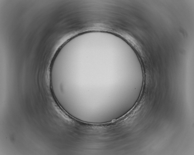 X0000111191238200907221102