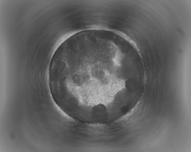 X0000111191239200907221102