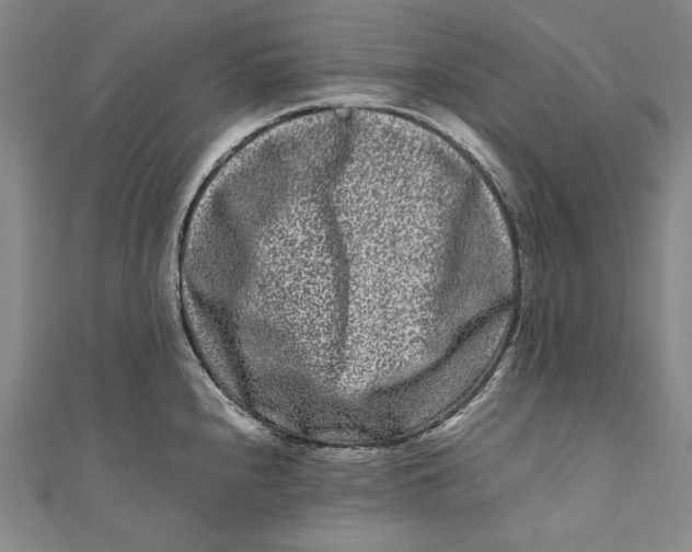 X0000111191240200907221102