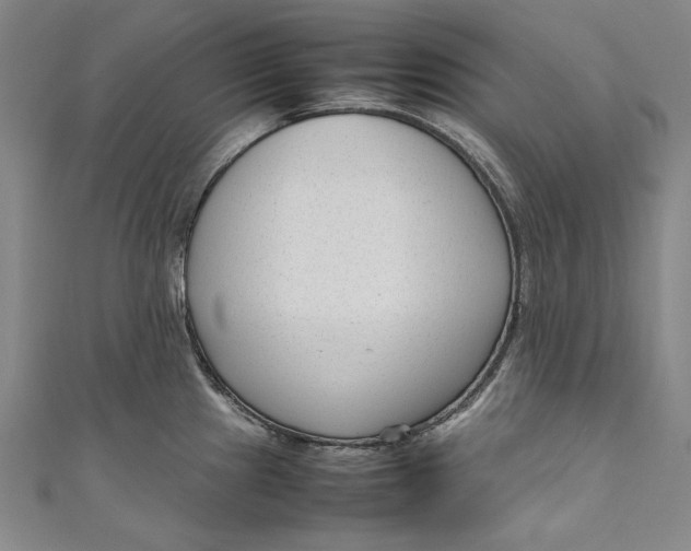 X0000111191241200907221102