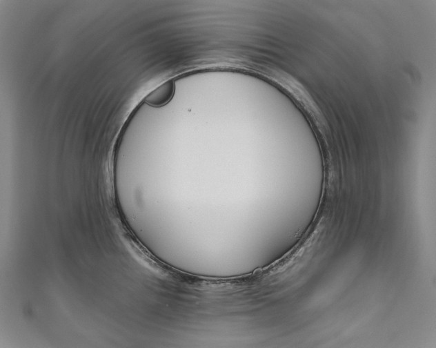 X0000111191242200907221102