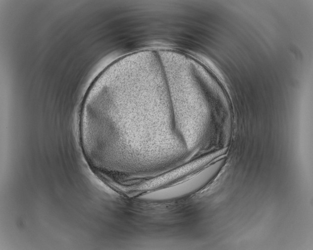 X0000111191243200907221102