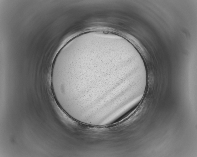 X0000111191244200907221102