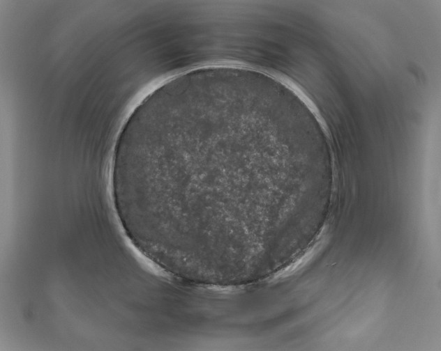 X0000111191245200907221103