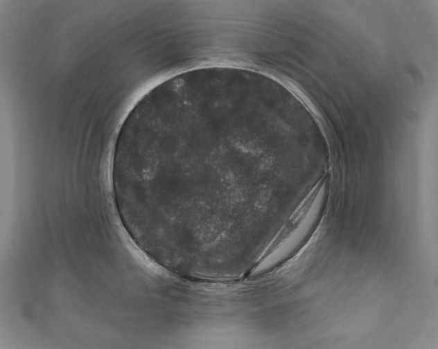 X0000111191246200907221103