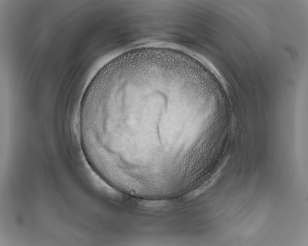 X0000111191247200907221103