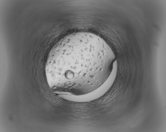 X0000111191249200907221102