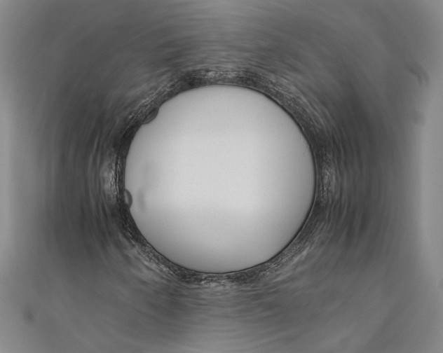 X0000111191250200907221102