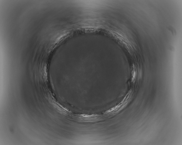 X0000111191252200907221102