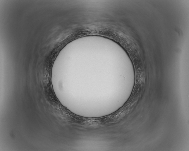 X0000111191253200907221102