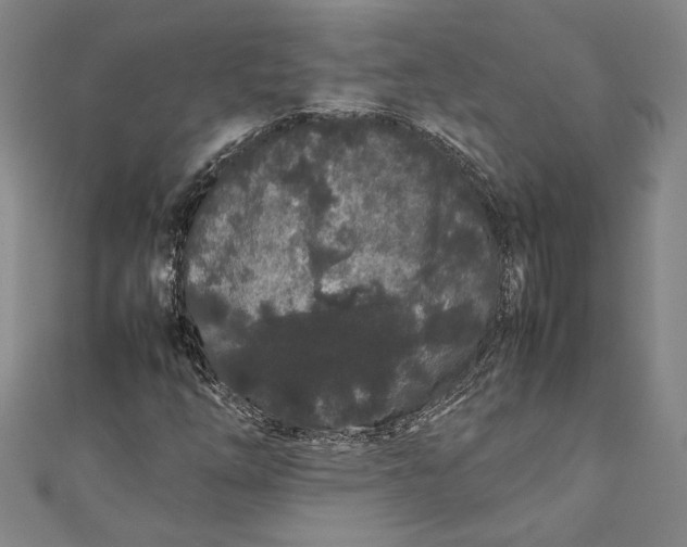 X0000111191254200907221102