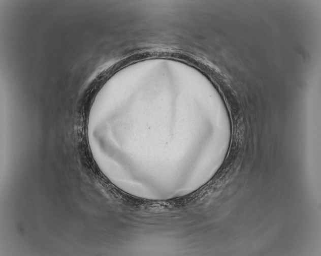 X0000111191255200907221102