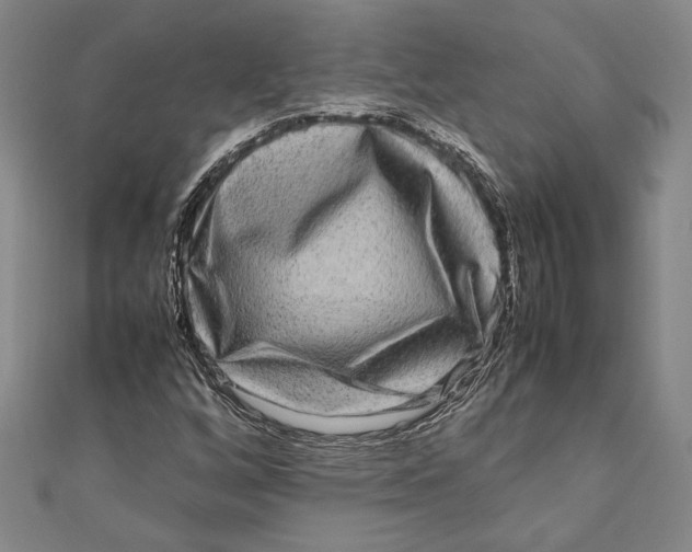 X0000111191256200907221102