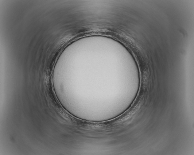 X0000111191257200907221102