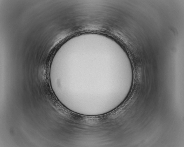 X0000111191258200907221102