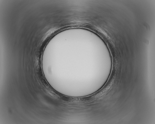 X0000111191259200907221102