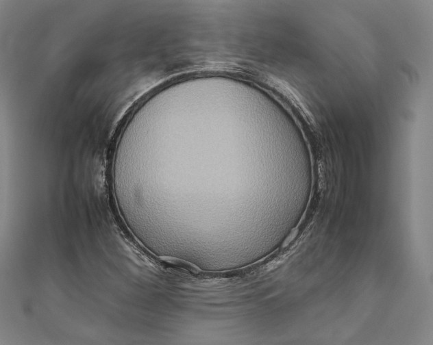 X0000111191260200907221102