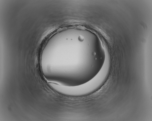 X0000111191261200907221102