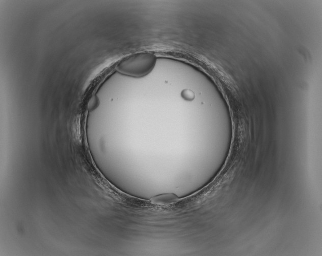 X0000111191262200907221101