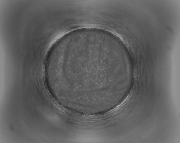 X0000111191263200907221101