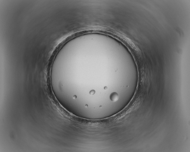 X0000111191264200907221101