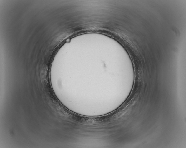 X0000111191265200907221101