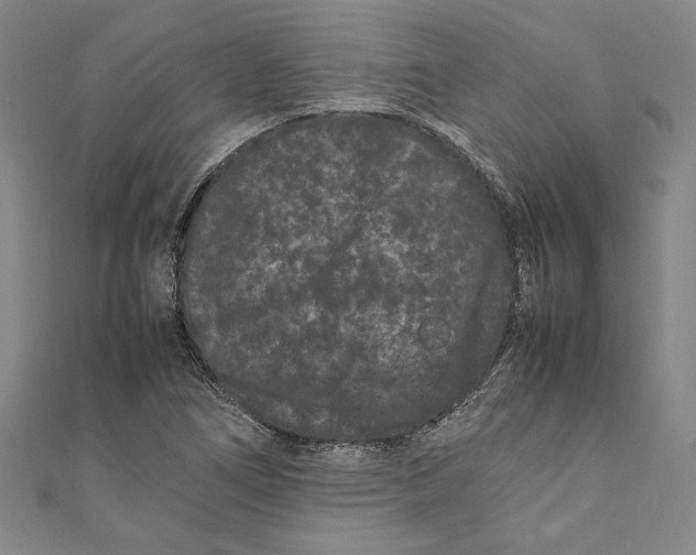 X0000111191266200907221101