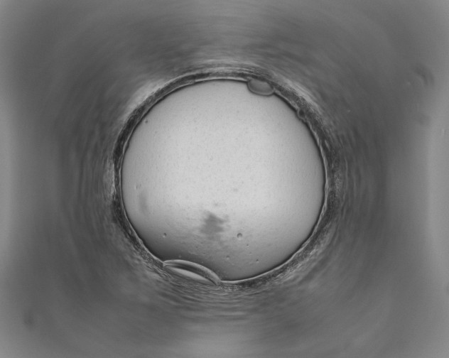 X0000111191267200907221101