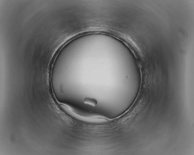 X0000111191268200907221101