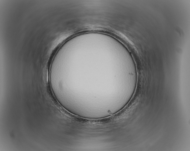 X0000111191269200907221101