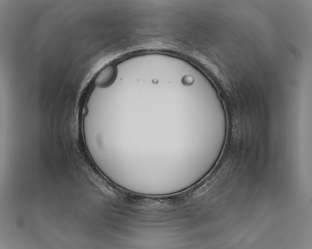 X0000111191270200907221101