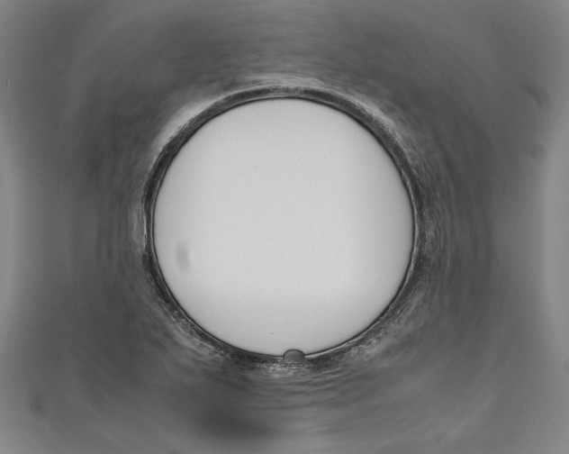 X0000111191271200907221101