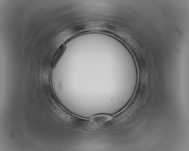 X0000111191273200907221101