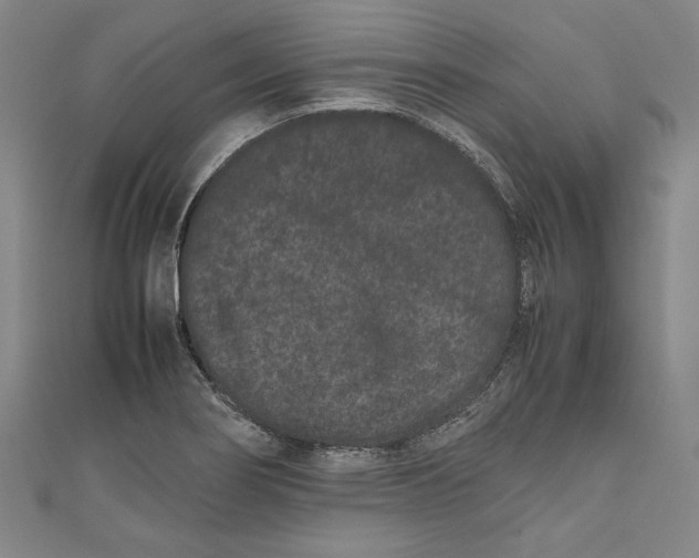 X0000111191274200907221101