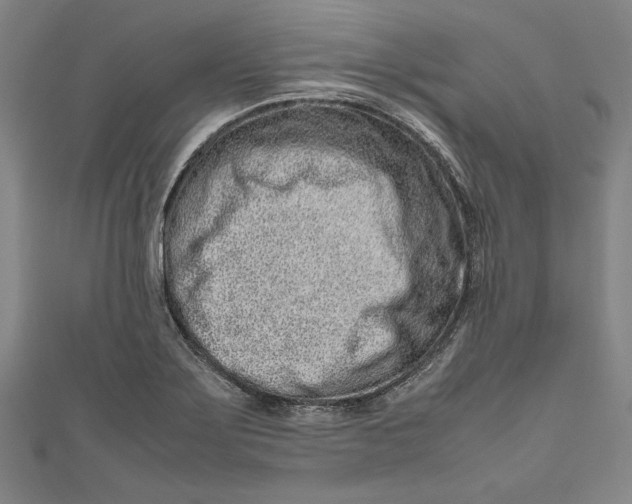 X0000111191275200907221101