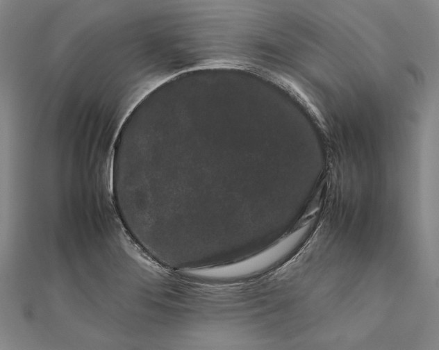 X0000111191276200907221101