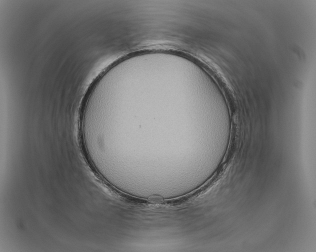 X0000111191277200907221101