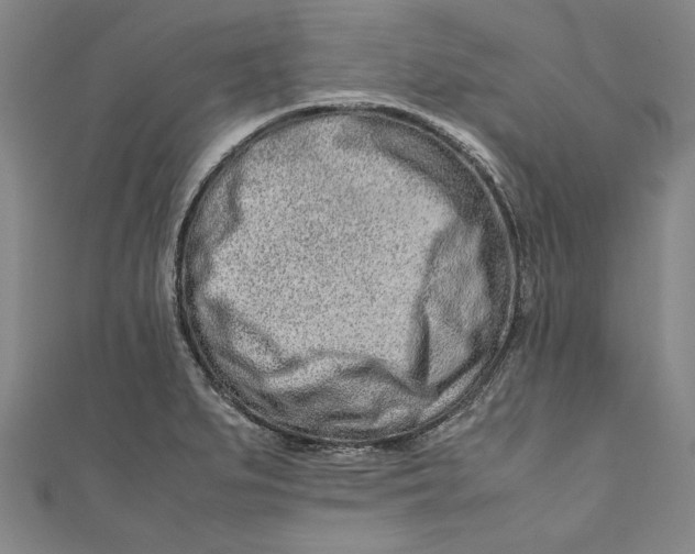 X0000111191279200907221101