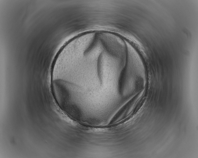 X0000111191280200907221101