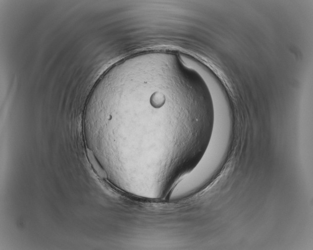 X0000111191281200907221101