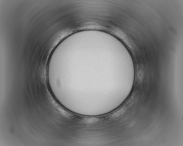 X0000111191282200907221101