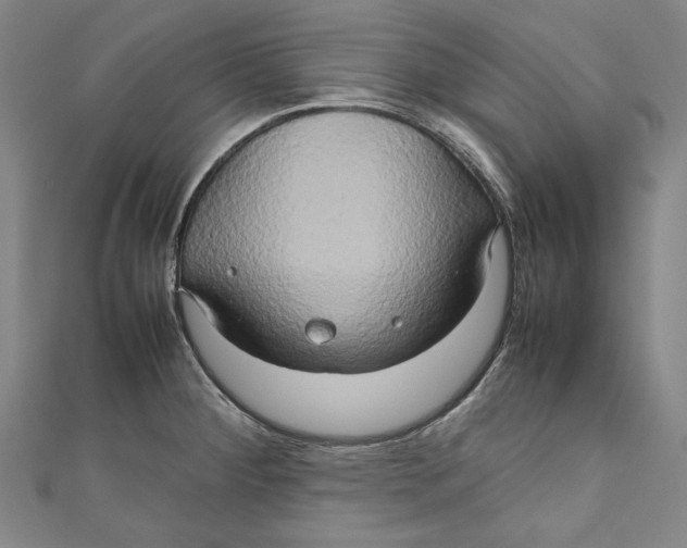 X0000111191284200907221101