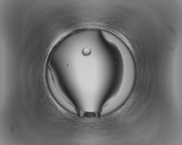 X0000111191285200907221101