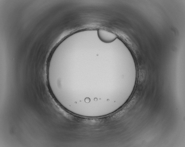 X0000111191286200907221101