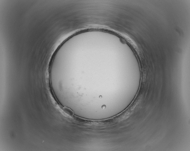 X0000111191287200907221101