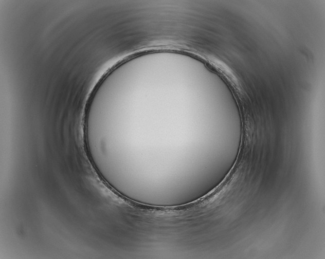 X0000111191288200907221101