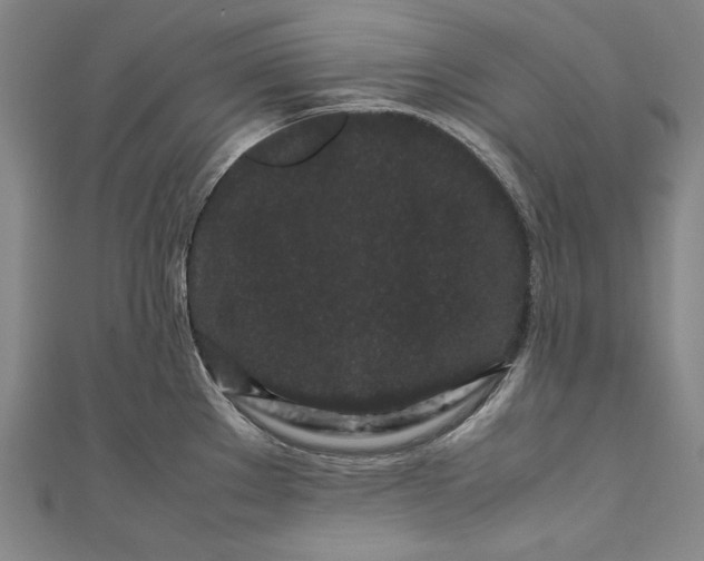 X0000111191289200907221101