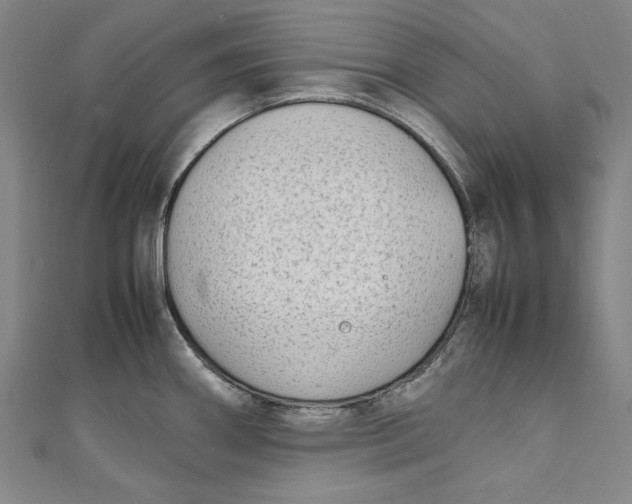 X0000111191290200907221101